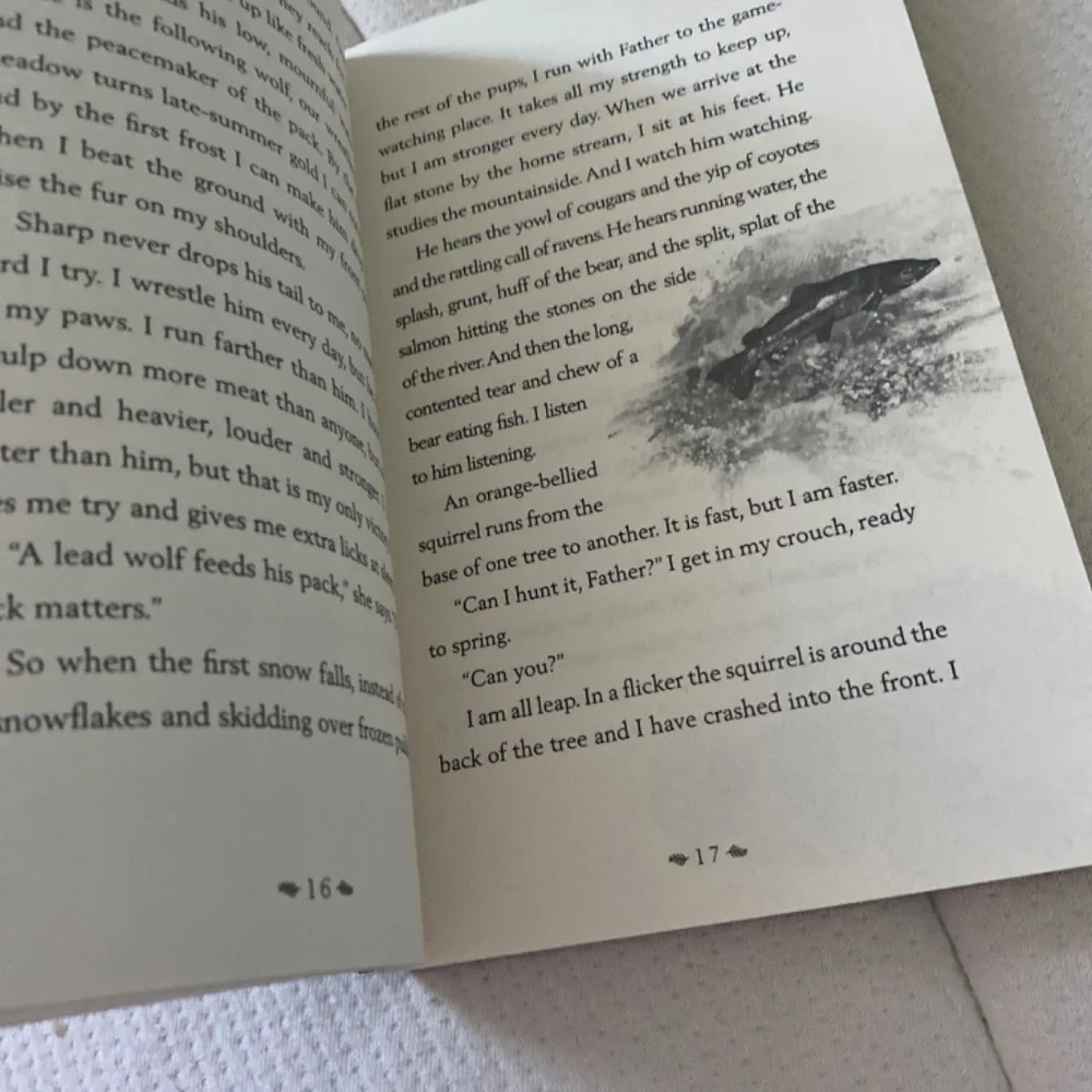 Book - Picture 4 of 4